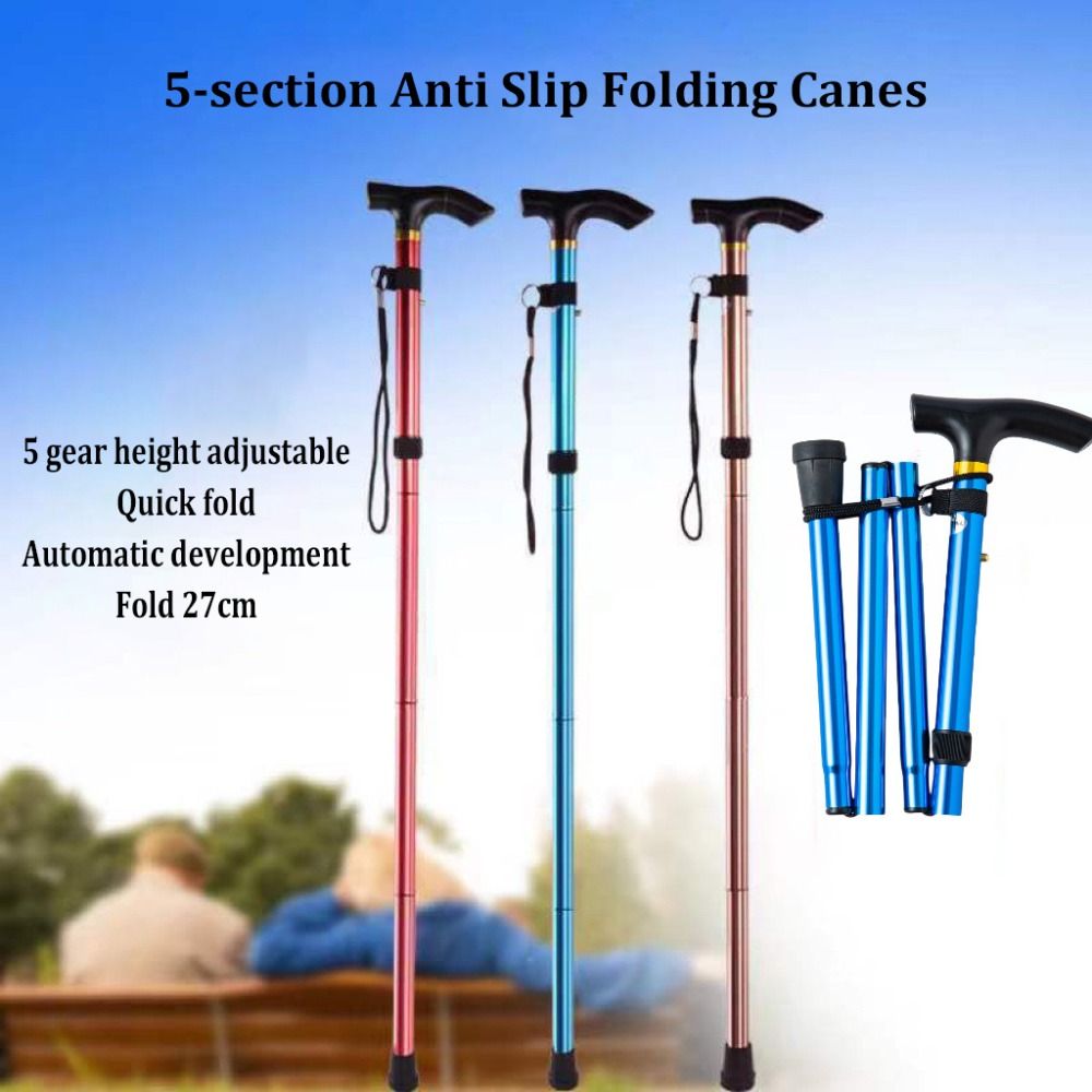 Bastón de senderismo telescópi - Trekking Pole Carbon reseña y precio