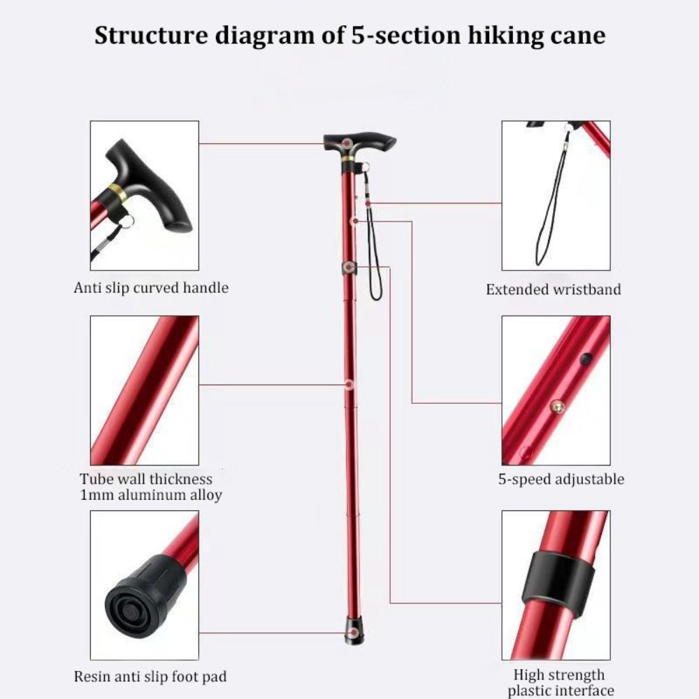 Bastón de senderismo telescópi - Trekking Pole Carbon reseña y precio
